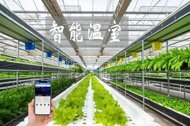 農(nóng)業(yè)物聯(lián)網(wǎng)賦能傳統(tǒng)大棚升級(jí)，手機(jī)管控溫濕度引領(lǐng)智能農(nóng)業(yè)新時(shí)代