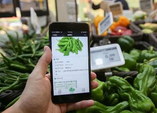 為什么要農產品溯源？一文為你解答智能農業管理