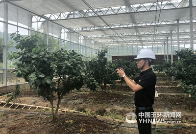 智能農(nóng)業(yè) 告別“看天吃飯”，開啟“智慧動(dòng)腦”新紀(jì)元