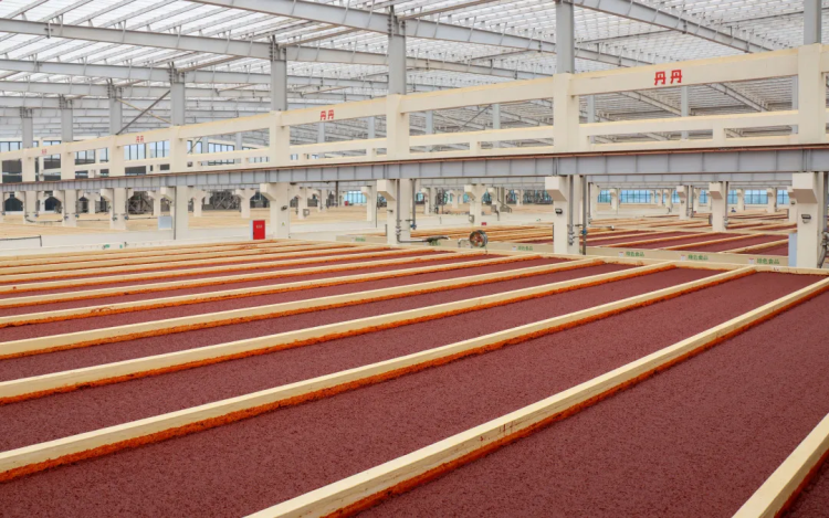 入選國(guó)家級(jí)重點(diǎn)培育名單！這勺郫縣豆瓣藏著川味的“世界通行證”與智能農(nóng)業(yè)管理