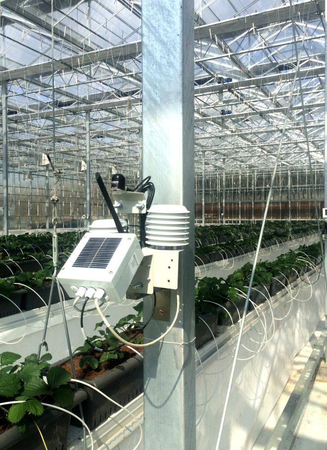 智慧領(lǐng)航 綠意新生——解讀最新設(shè)施農(nóng)業(yè)智能管理項(xiàng)目建設(shè)方案