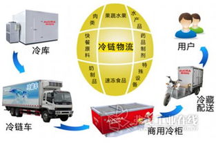 國內(nèi)外聯(lián)動(dòng)打造北方食品冷鏈物流集散中心，優(yōu)化供應(yīng)鏈管理服務(wù)